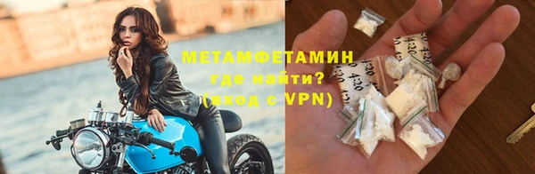 шишки Белоозёрский