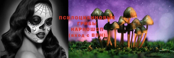 шишки Белоозёрский