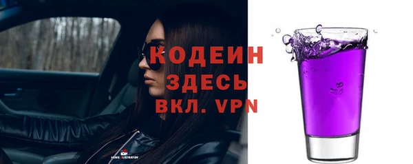 шишки Белоозёрский