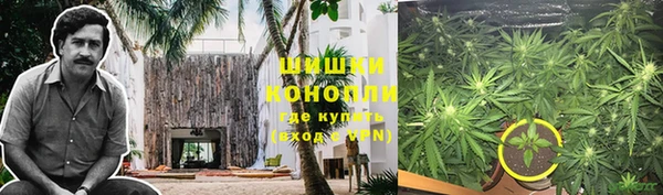 эйфоретик Белокуриха