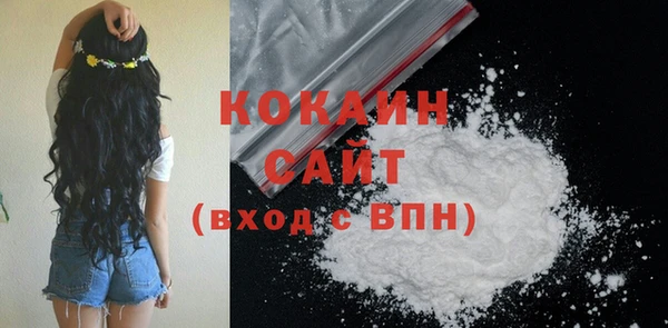 шишки Белоозёрский