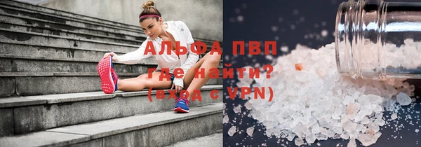 шишки Белоозёрский